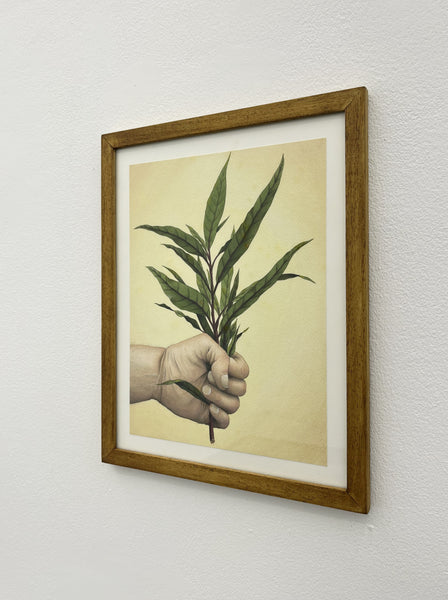 Abre Caminhos - Quebra demanda