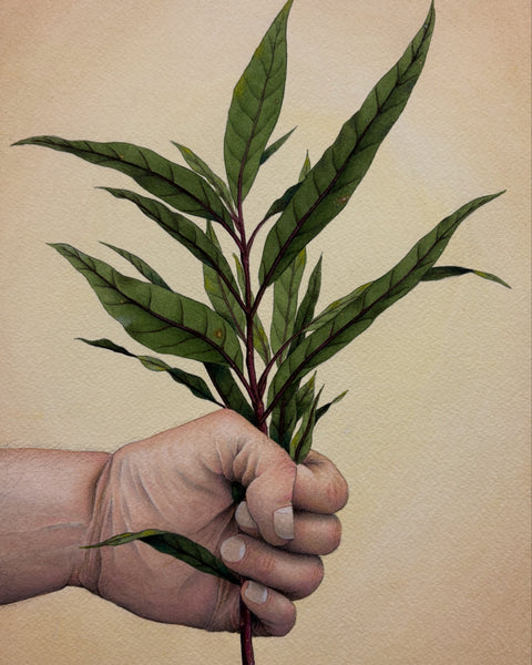 Abre Caminhos - Quebra demanda