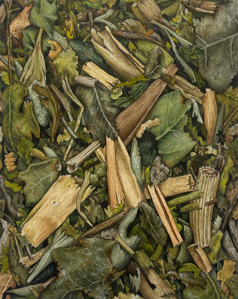 Banho (equilibrio emocional)