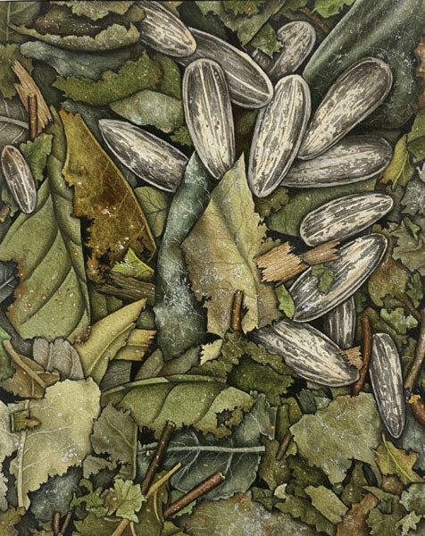 Banho (chama dinheiro)