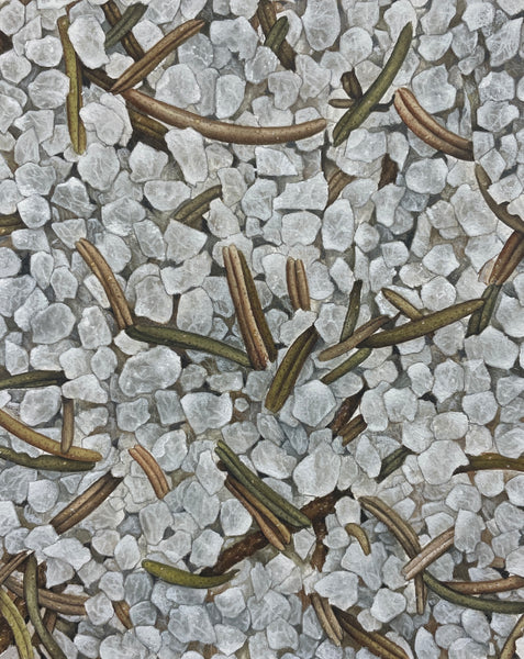 Banho (limpieza-protecao)