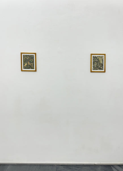 Banho (equilibrio emocional)