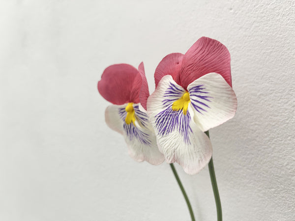 Amor perfeito (entrelassados II)