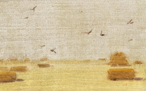 Pájaros en un campo cosechado