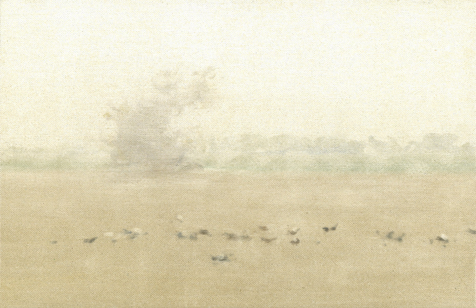 Palomas comiendo (calima)