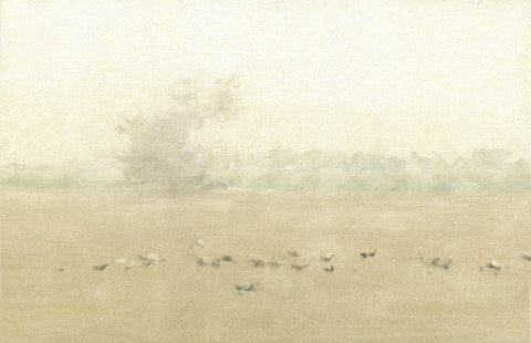 Palomas comiendo (calima)