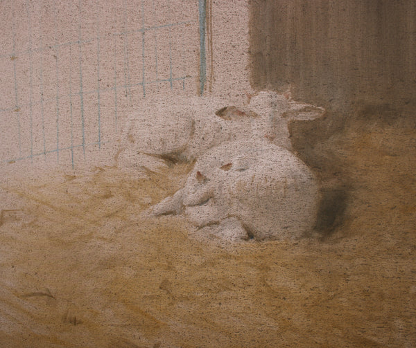 Dos ovejas
