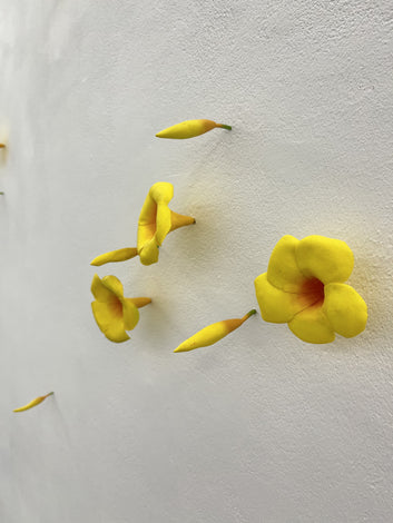 * Exposición - MAURO PIVA *