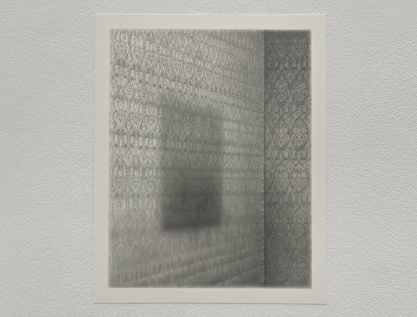 Fuera de lugar (empty museum)