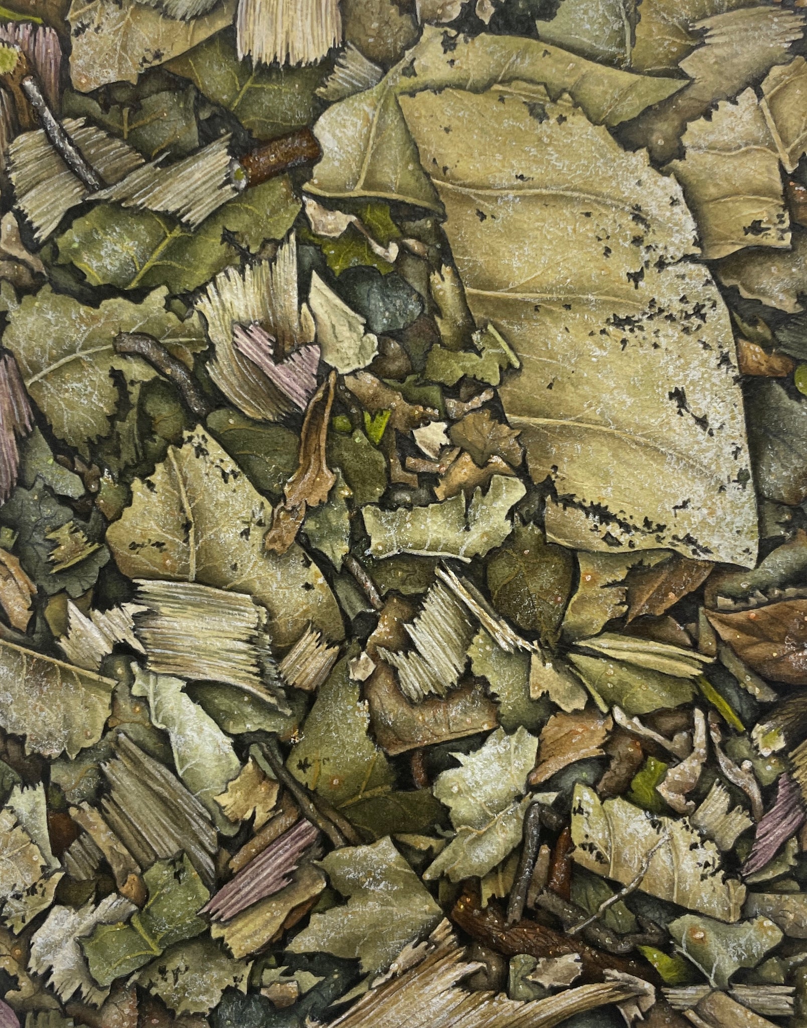Banho (defesa)