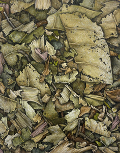 Banho (defesa)