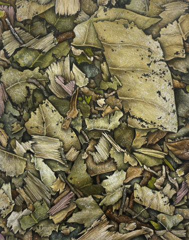 Banho (defesa)