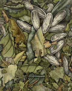 Banho (chama dinheiro)