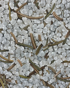 Banho (limpieza-protecao)