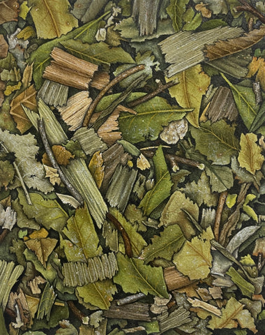 Banho (abre camino)