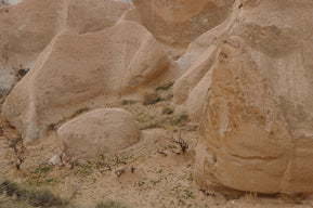 Zoom In (Montaña)
