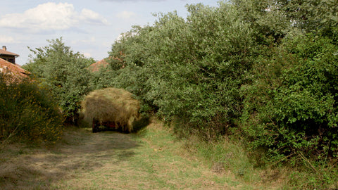 Hierba en Movimiento, tractor
